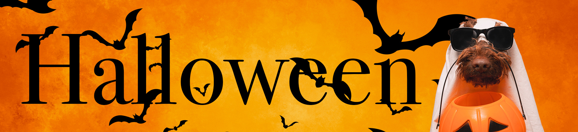halloween-banner
